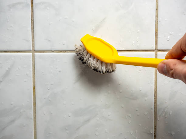 Best Home Mold Removal  in Laurel Bay, SC